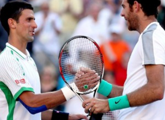 Wimbledon 2013: Suspense continues as Djokovic faces Del Potro in the semi-finals