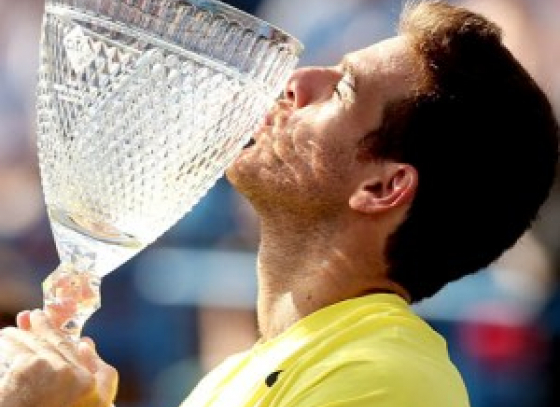 Washington Open final: Juan Martin del Potro trounced John Isner to enter the US Open