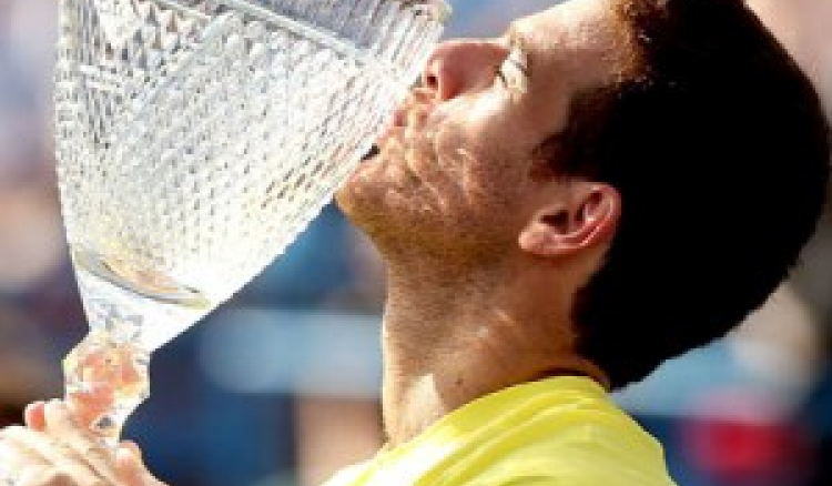 Washington Open final: Juan Martin del Potro trounced John Isner to enter the US Open