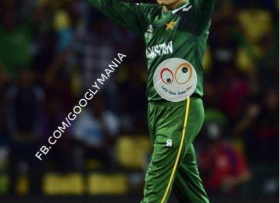 Saeed Ajmal took 100 wickets in year 2013