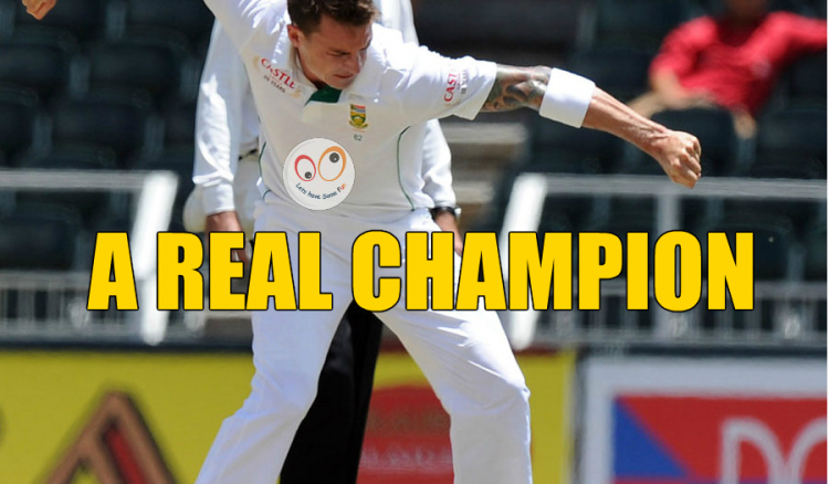 Dale Steyn celebrates like a champions