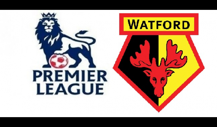 Watford promoted to English Premier League